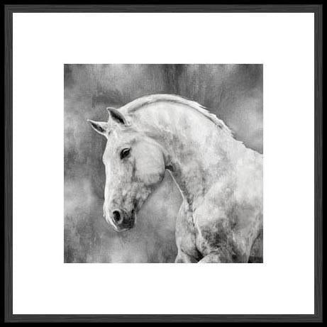 Biella Art framed prints melbourne