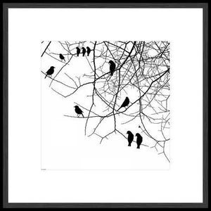 Biella Art framed prints melbourne