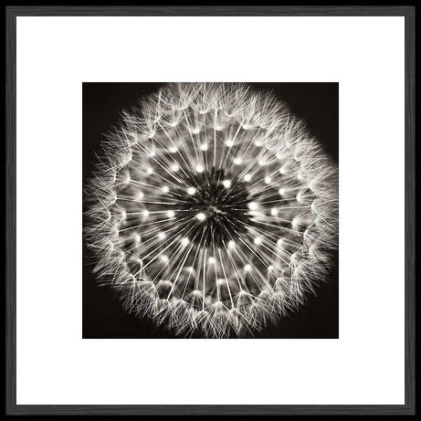 Biella Art framed prints melbourne