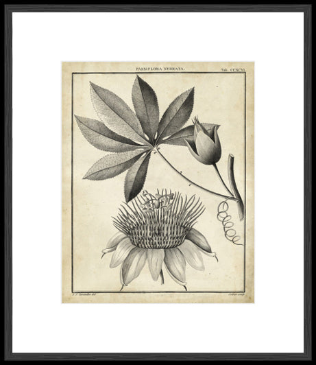Biella Art framed prints melbourne