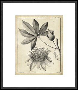 Biella Art framed prints melbourne