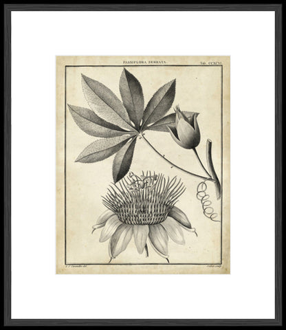 Biella Art framed prints melbourne