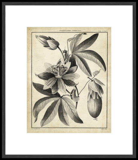 Biella Art framed prints melbourne