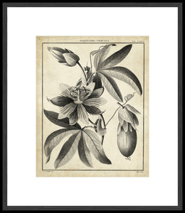 Biella Art framed prints melbourne