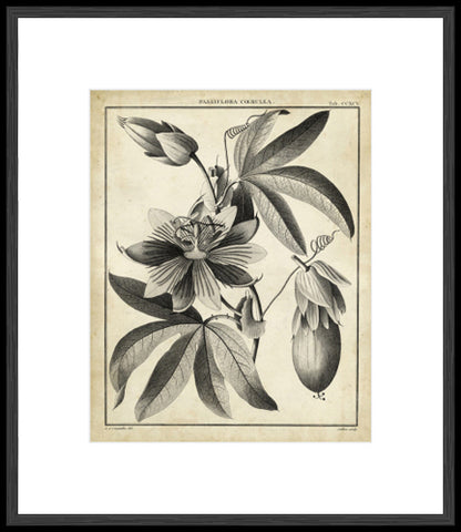 Biella Art framed prints melbourne