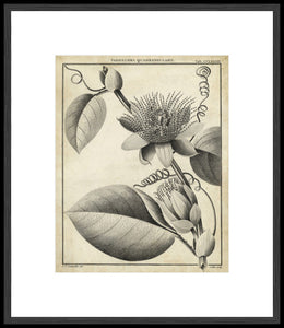 Biella Art framed prints melbourne