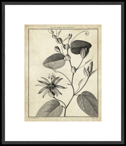 Biella Art framed prints melbourne
