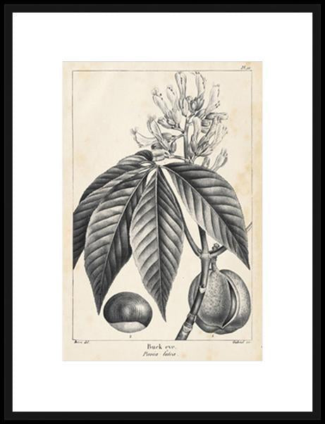 Biella Art framed prints melbourne