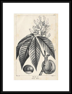 Biella Art framed prints melbourne