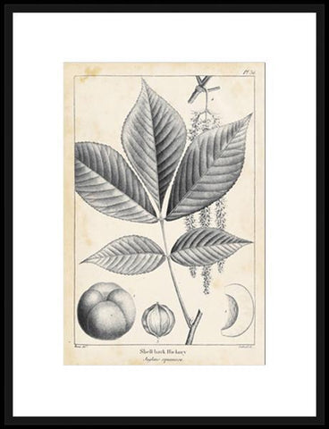 Biella Art framed prints melbourne