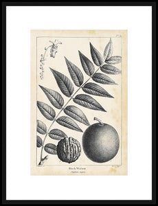 Biella Art framed prints melbourne