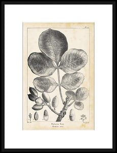 Biella Art framed prints melbourne