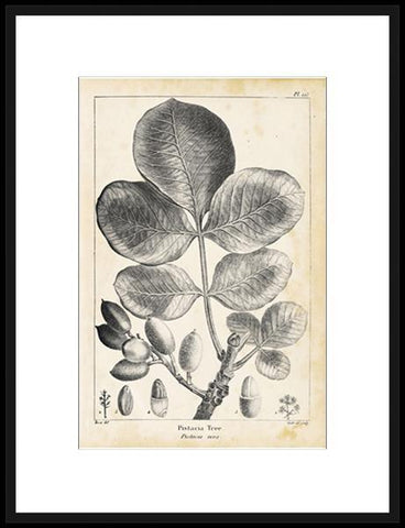 Biella Art framed prints melbourne