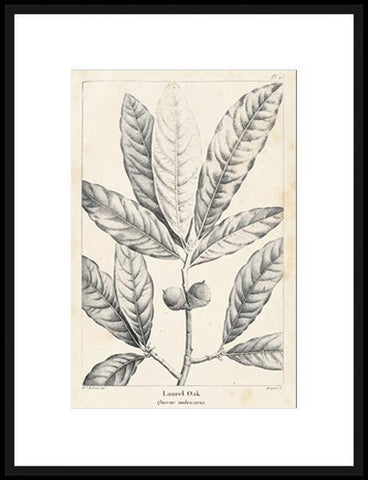 Biella Art framed prints melbourne