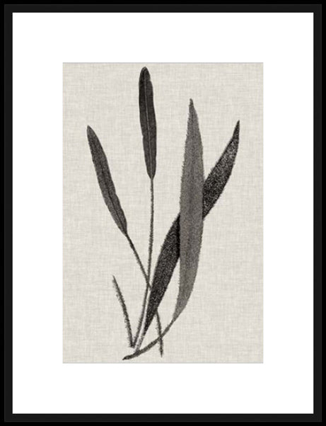Biella Art framed prints melbourne