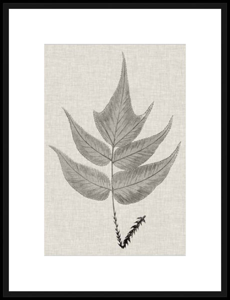 Biella Art framed prints melbourne
