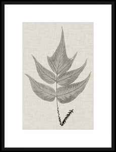 Biella Art framed prints melbourne