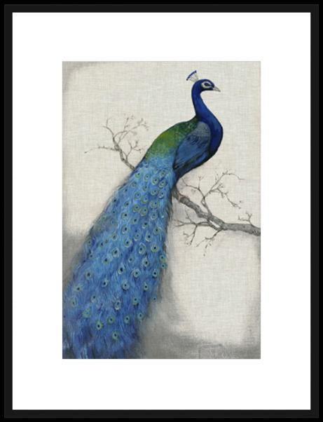 Peacock Blue I