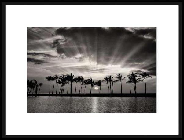 Biella Art framed prints melbourne