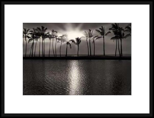Biella Art framed prints melbourne