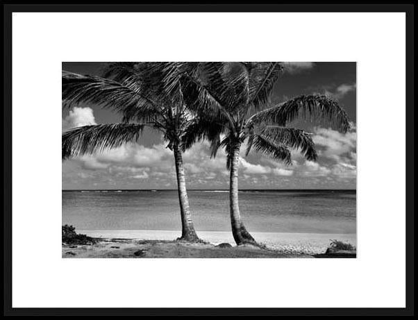 Biella Art framed prints melbourne