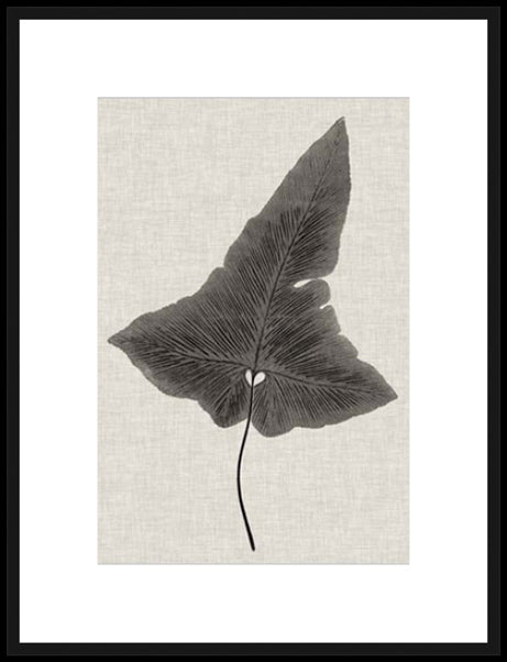Biella Art framed prints melbourne
