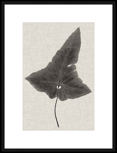 Biella Art framed prints melbourne