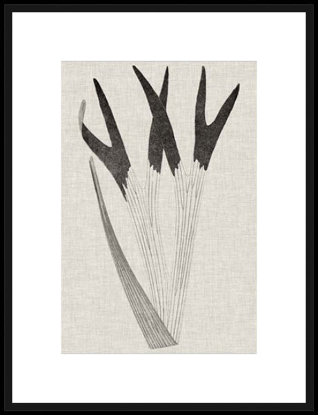 Biella Art framed prints melbourne