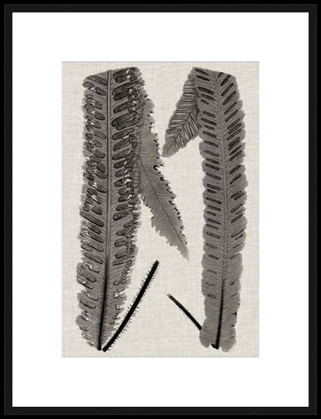 Biella Art framed prints melbourne