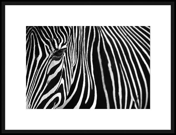 Biella Art framed prints melbourne