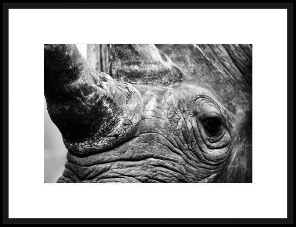 Biella Art framed prints melbourne