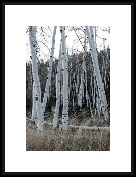 Biella Art framed prints melbourne