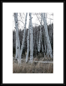 Biella Art framed prints melbourne