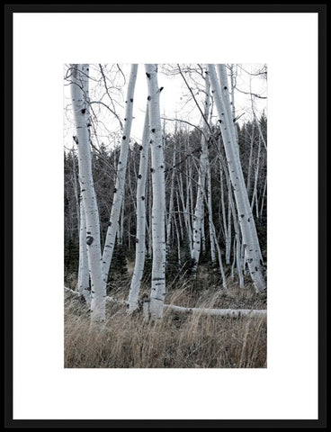 Biella Art framed prints melbourne