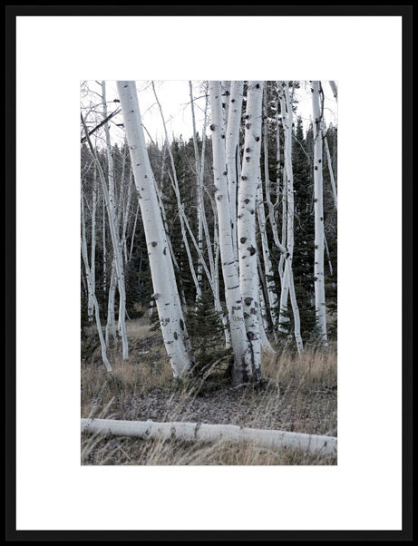 Biella Art framed prints melbourne