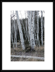 Biella Art framed prints melbourne