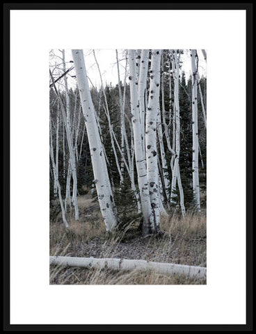 Biella Art framed prints melbourne