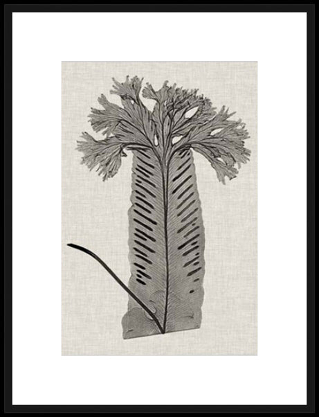 Biella Art framed prints melbourne