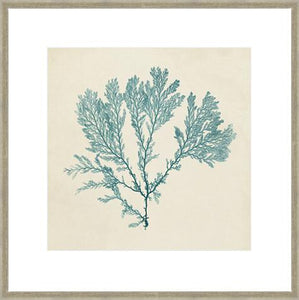 Chromatic Seaweed VIII