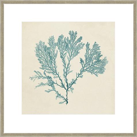 Chromatic Seaweed VIII