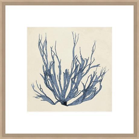 Biella Art framed prints melbourne