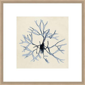 Biella Art framed prints melbourne