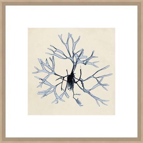 Biella Art framed prints melbourne