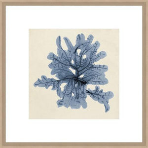 Biella Art framed prints melbourne