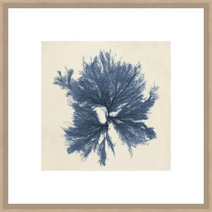 Biella Art framed prints melbourne