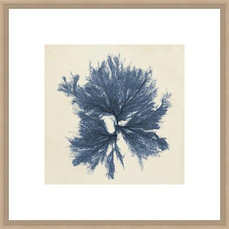 Biella Art framed prints melbourne