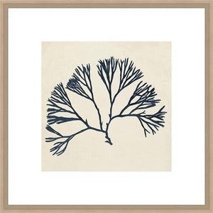 Biella Art framed prints melbourne