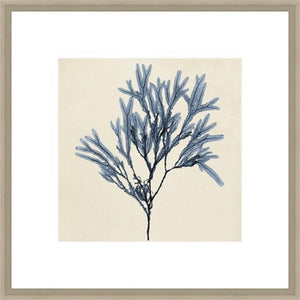 Biella Art framed prints melbourne