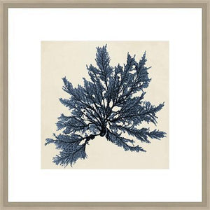 Biella Art framed prints melbourne
