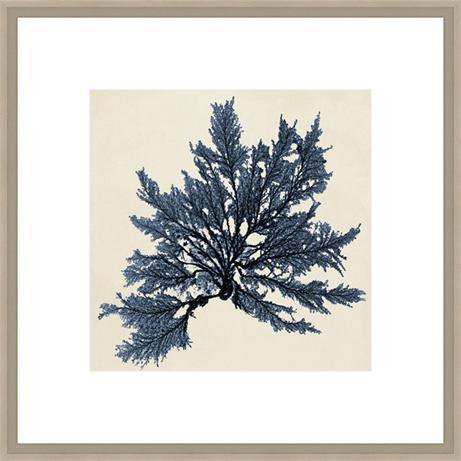 Biella Art framed prints melbourne